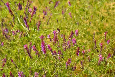 DSC_6448 (Large).JPG